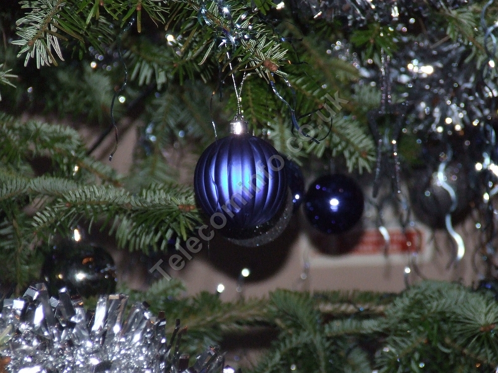 Peterborough 2012  27